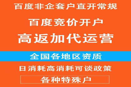 竞价广告赚钱：百度平台成功案例分析